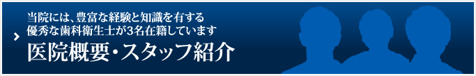 当院には、豊富な経験と知識を有する優秀な歯科衛生士が3名在籍しています 医院概要・スタッフ紹介