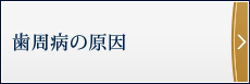 歯周病の原因