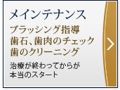 メインテナンス